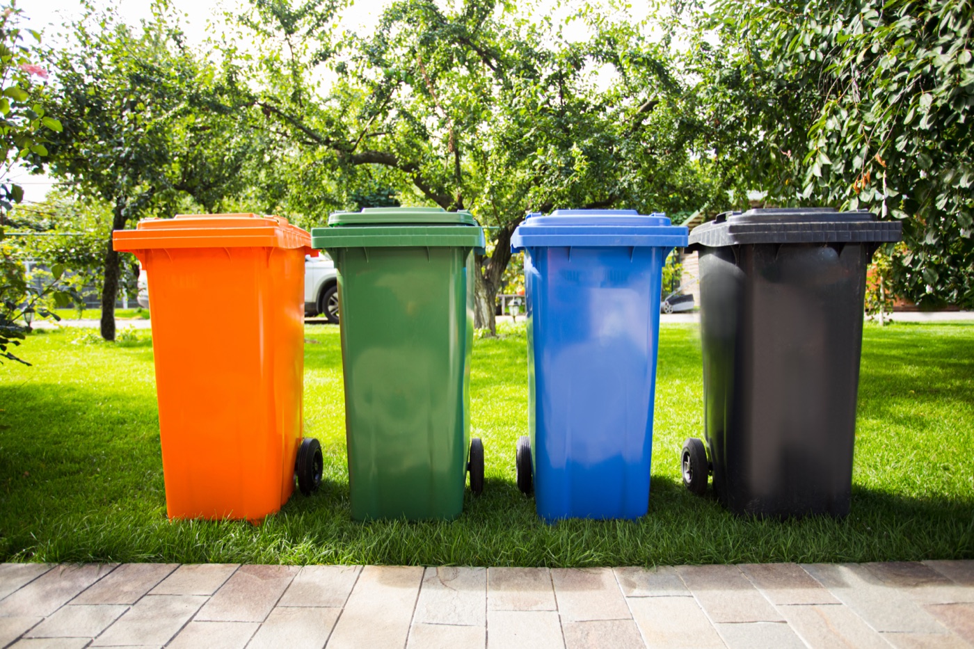 Row of colored waste sorting bins